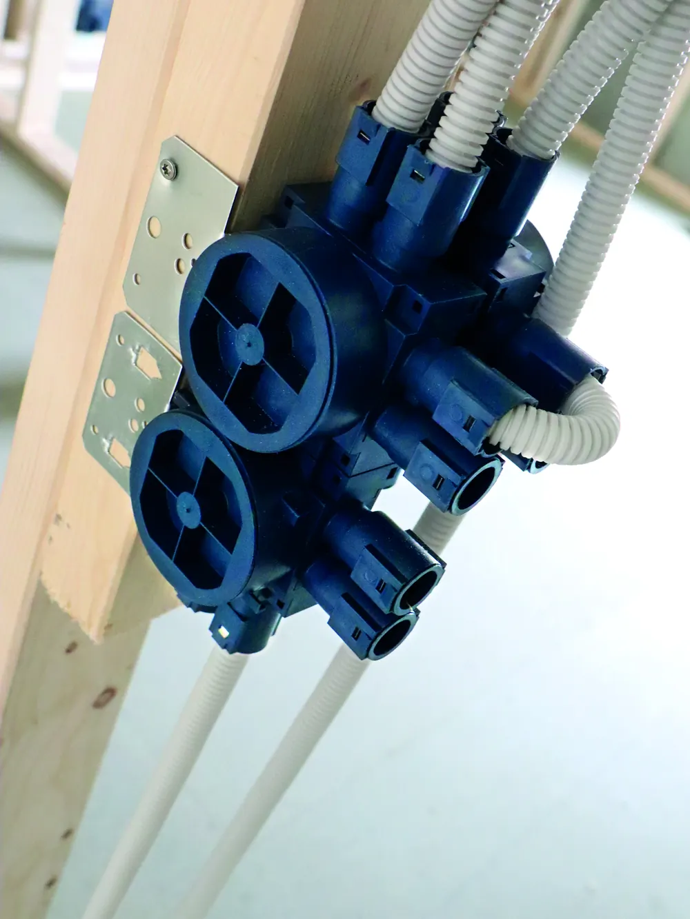 Blue gang installation box on a timber stud with many conduit entries connected